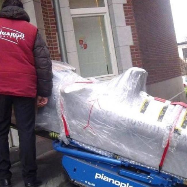 Medios Materiales Dicargo