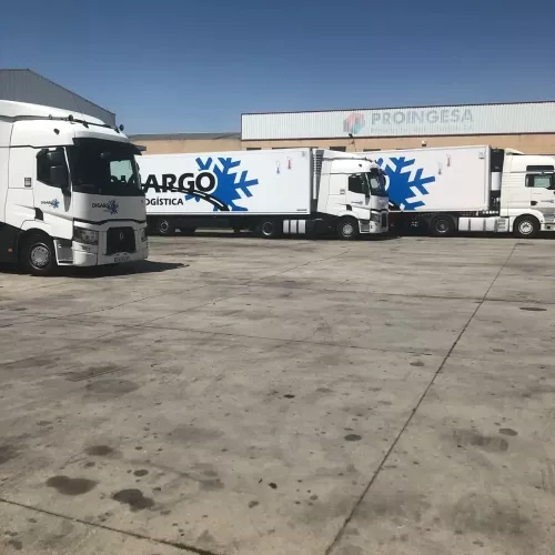 Camiones destinados a logística